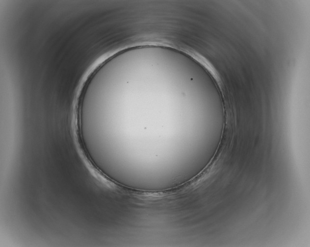 X0000112411144200908141020