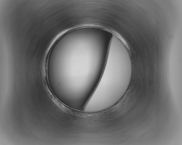X0000112411148200908141020