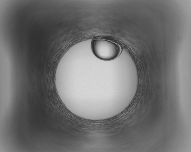 X0000112411157200908141019