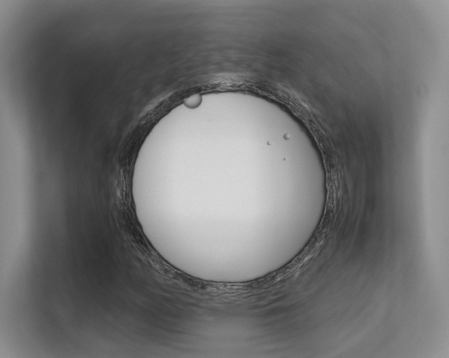X0000112411158200908141019