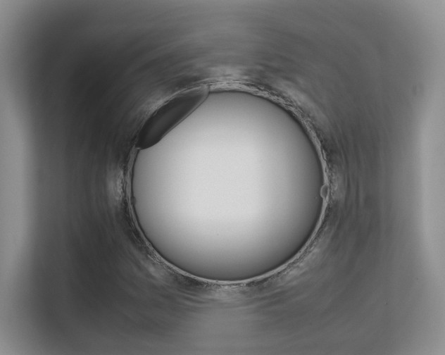 X0000112411161200908141019