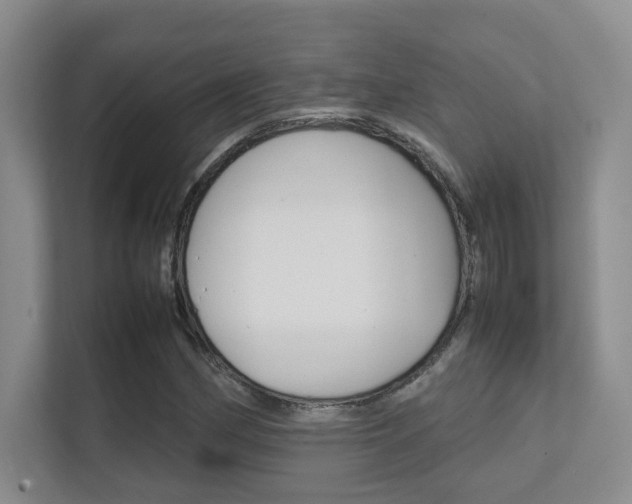 X0000112411162200908141019
