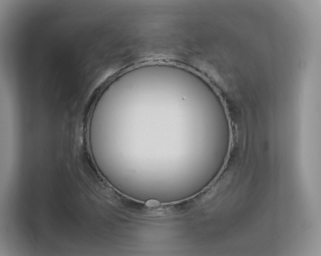 X0000112411165200908141019