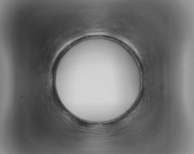 X0000112411167200908141019