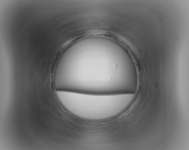 X0000112411169200908141019