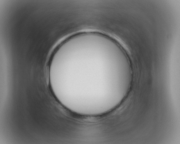 X0000112411175200908141019