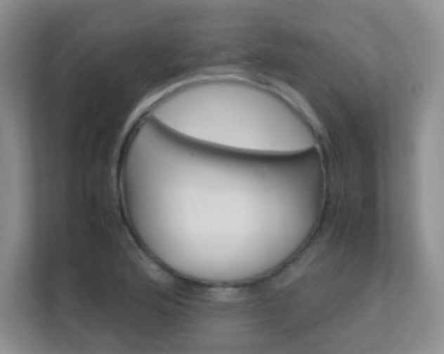 X0000112411176200908141019