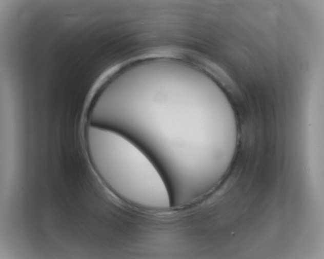 X0000112411180200908141019