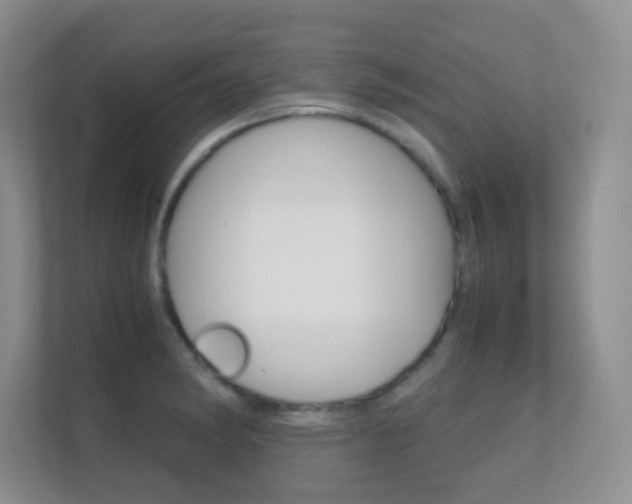 X0000112411182200908141019