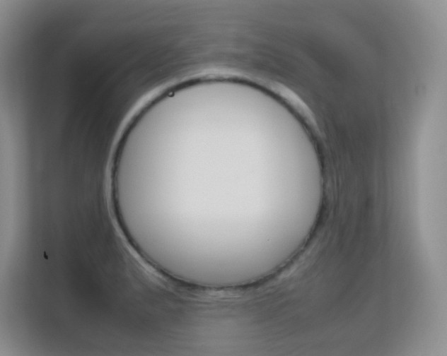 X0000112411183200908141019