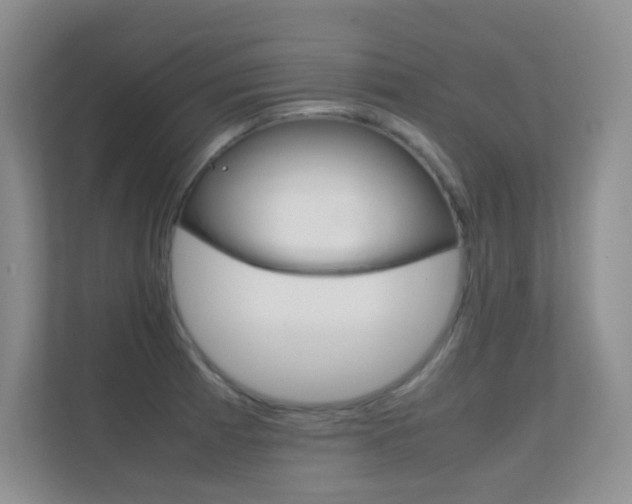 X0000112411185200908141019