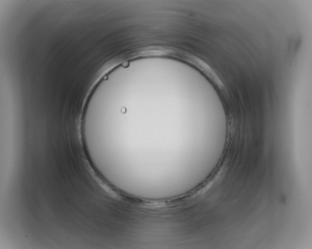 X0000112411186200908141019