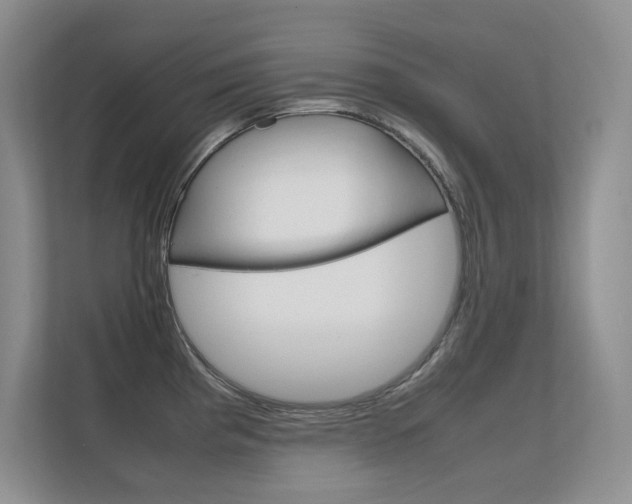 X0000112411193200908141019