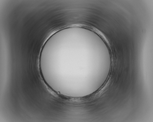 X0000112411194200908141019