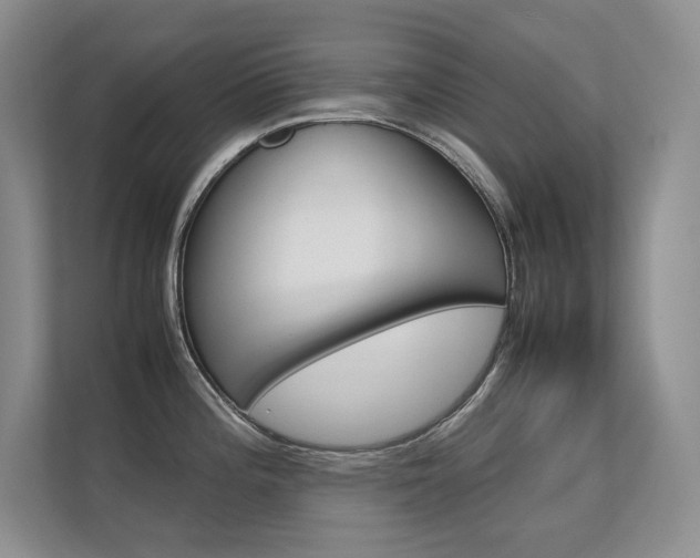 X0000112411196200908141019