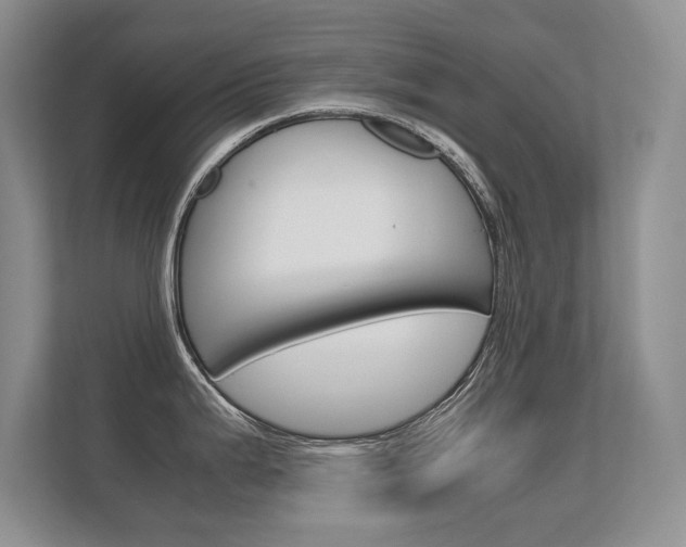 X0000112411199200908141019