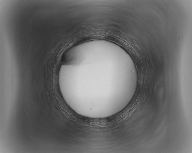 X0000112411201200908141018