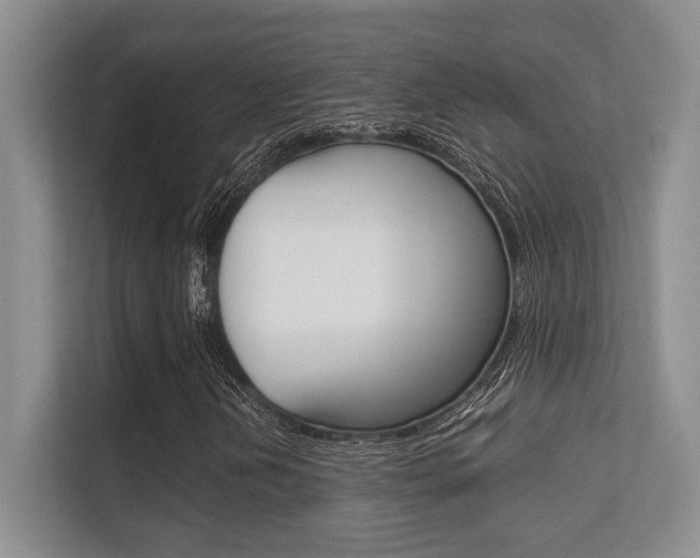 X0000112411202200908141018