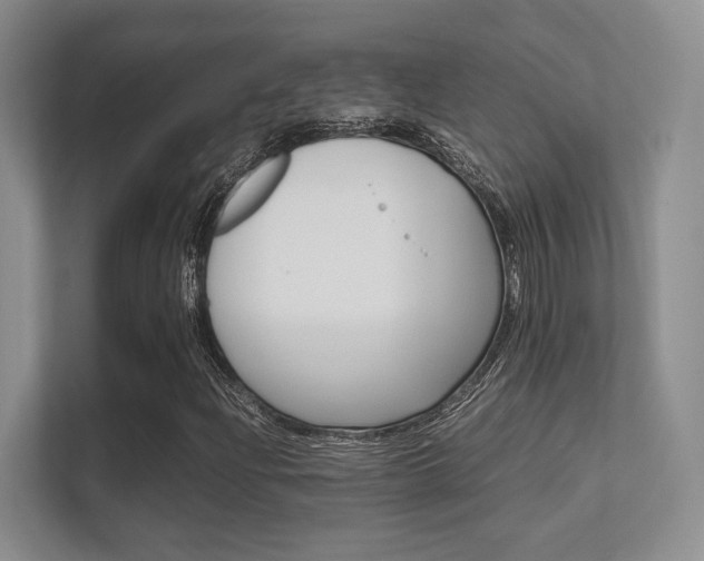 X0000112411204200908141018