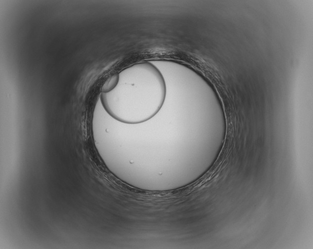 X0000112411205200908141018