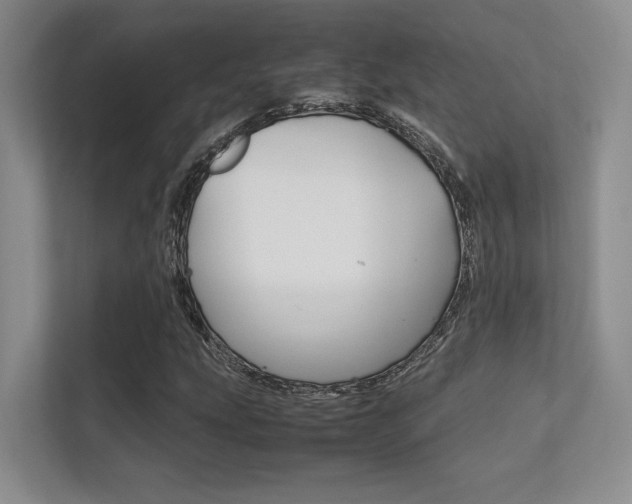X0000112411207200908141018