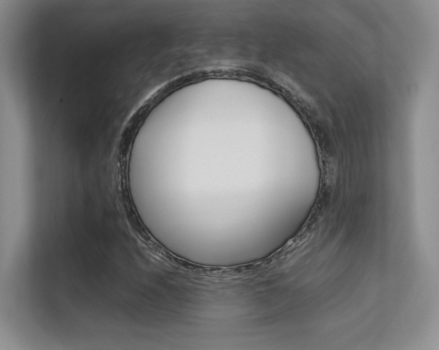 X0000112411208200908141018