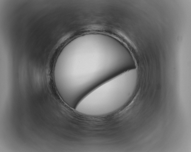 X0000112411213200908141018