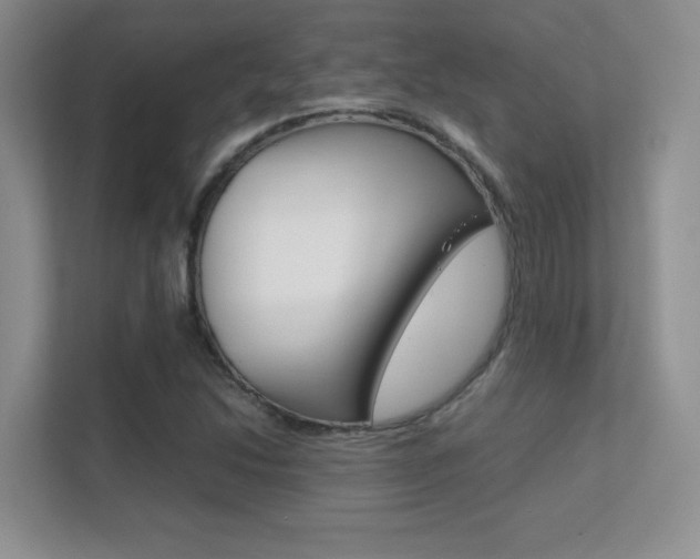 X0000112411214200908141018
