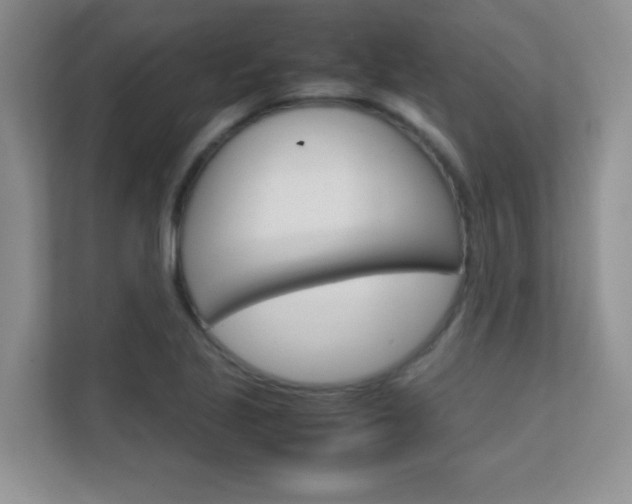 X0000112411221200908141019