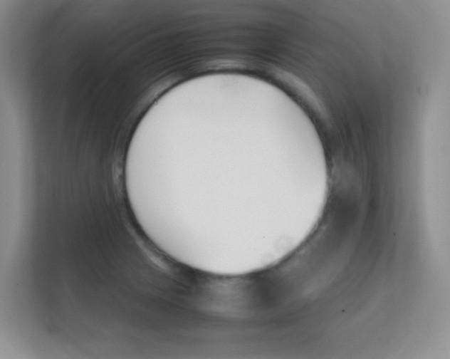 X0000112411225200908141019