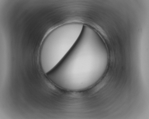 X0000112411226200908141019