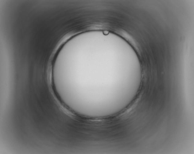 X0000112411227200908141019