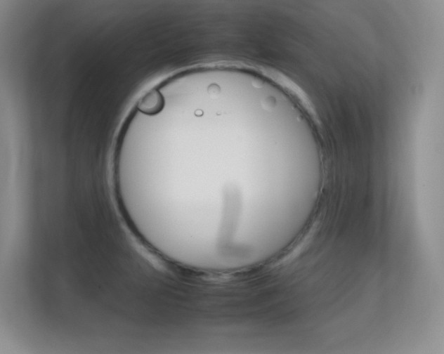 X0000112411231200908141019