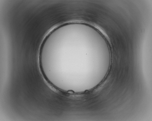 X0000112411237200908141019