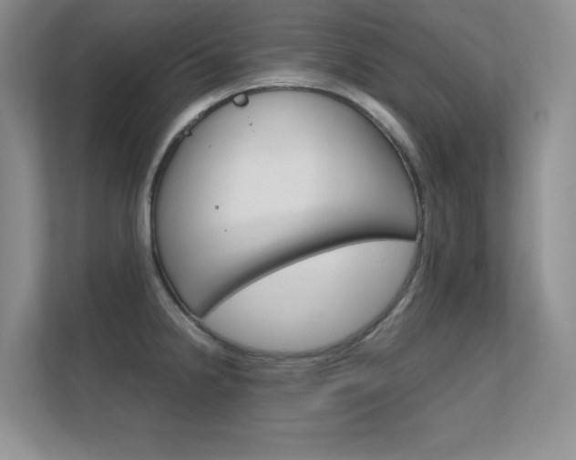 X0000112411238200908141019
