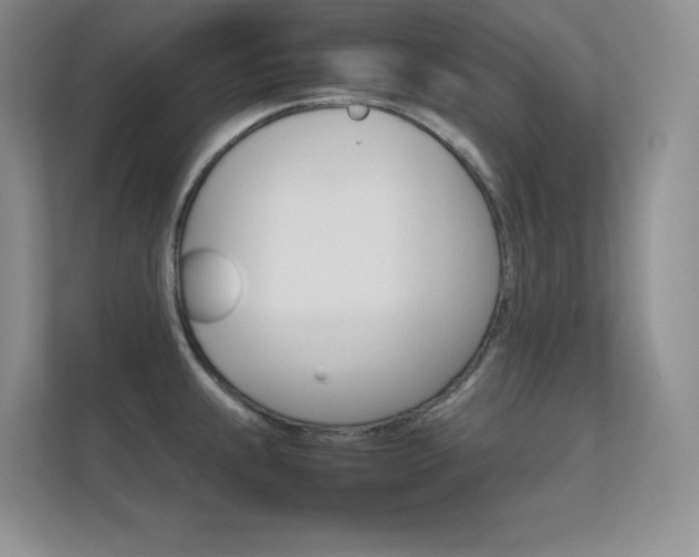 X0000112411239200908141019