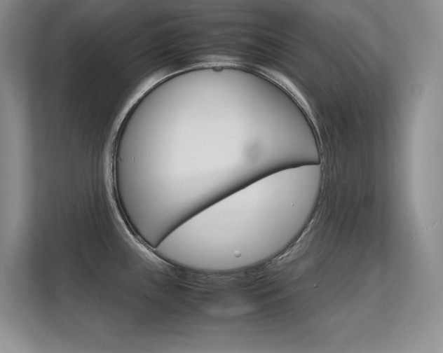 X0000112411243200908141019