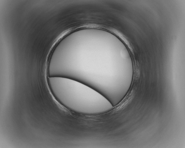X0000112411245200908141019