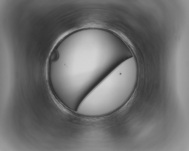 X0000112411246200908141019