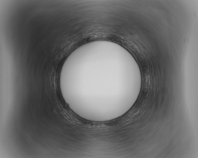 X0000112411250200908141018