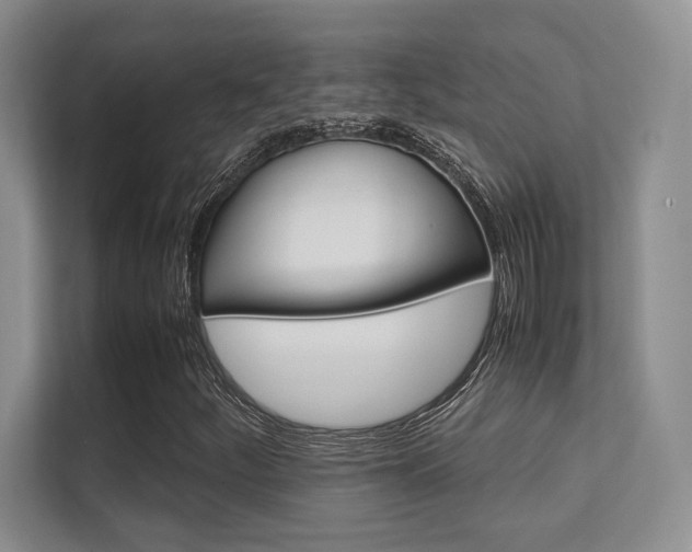 X0000112411252200908141018