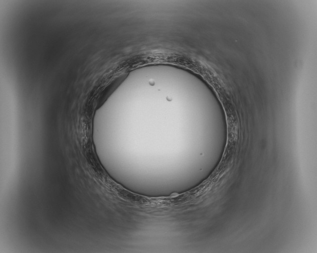 X0000112411253200908141018