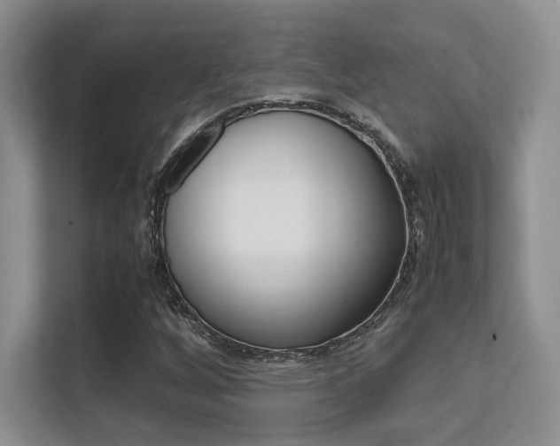 X0000112411256200908141018