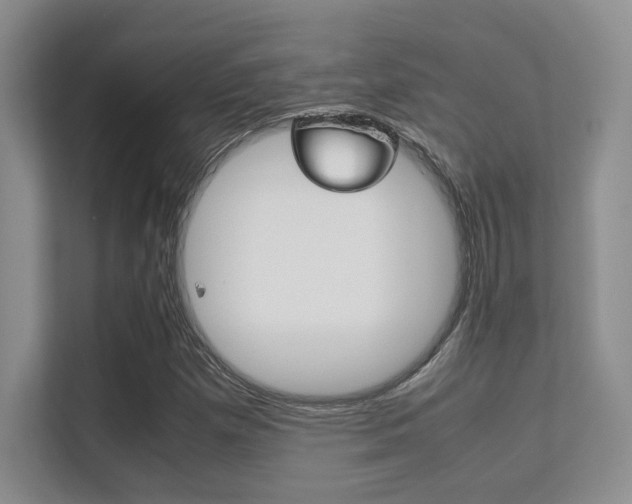 X0000112411257200908141018