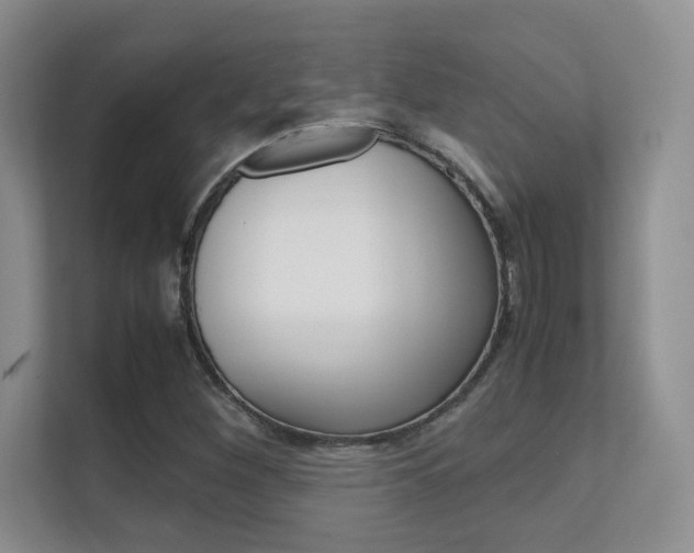 X0000112411260200908141018