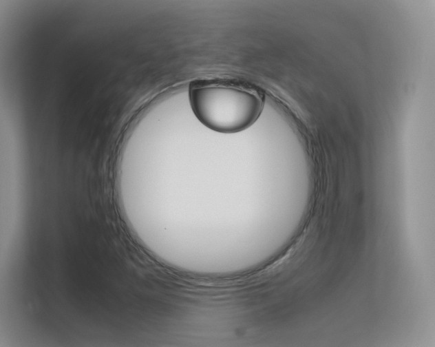X0000112411261200908141018