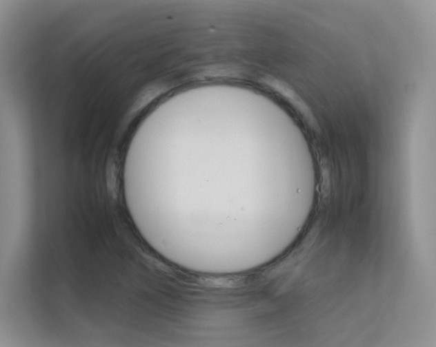 X0000112411266200908141018