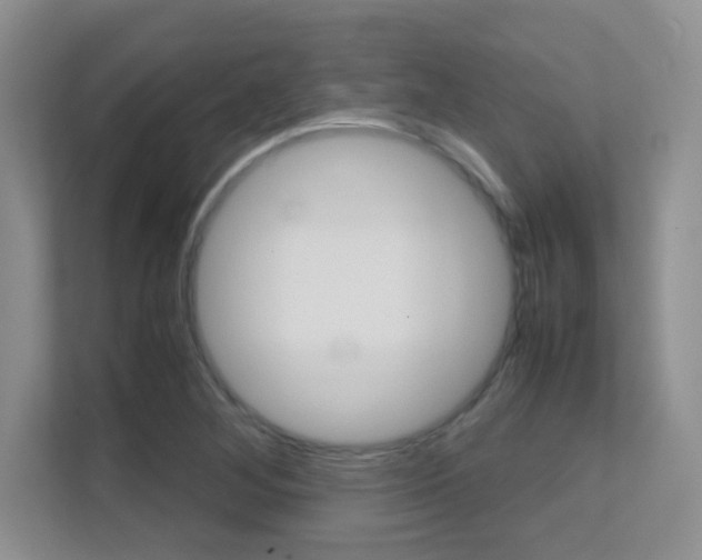 X0000112411268200908141018