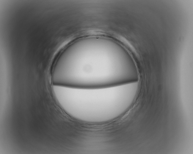 X0000112411269200908141018