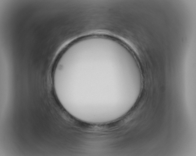 X0000112411271200908141018
